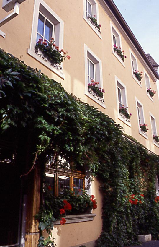 Bayerischer Hof 基青根 外观 照片